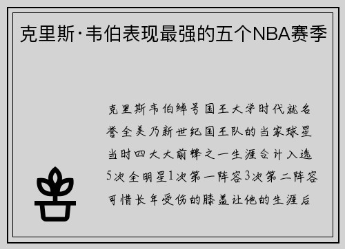 克里斯·韦伯表现最强的五个NBA赛季